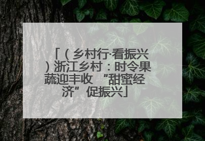 （乡村行·看振兴）浙江乡村：时令果蔬迎丰收 “甜蜜经济”促振兴